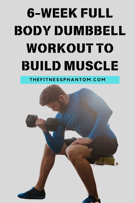 dumbbell workout plan PDF
