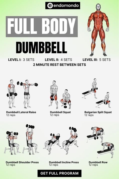 dumbbell workout plan PDF