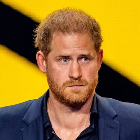 Prince Harry net worth
