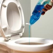 how to unclog a toilet