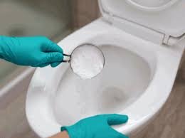 how to unclog a toilet