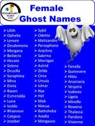 senior assassin team names
