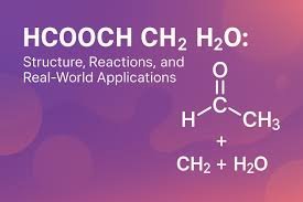 HCOOCH CH2 H2O